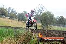 Champions Ride Days MotoX Broadford 24 11 2013 - 6CR_4342