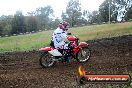 Champions Ride Days MotoX Broadford 24 11 2013 - 6CR_4347