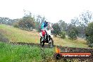 Champions Ride Days MotoX Broadford 24 11 2013 - 6CR_4360