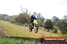 Champions Ride Days MotoX Broadford 24 11 2013 - 6CR_4370