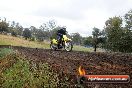 Champions Ride Days MotoX Broadford 24 11 2013 - 6CR_4374