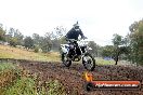 Champions Ride Days MotoX Broadford 24 11 2013 - 6CR_4379