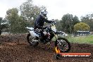 Champions Ride Days MotoX Broadford 24 11 2013 - 6CR_4381