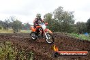 Champions Ride Days MotoX Broadford 24 11 2013 - 6CR_4388