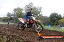 Champions Ride Days MotoX Broadford 24 11 2013 - 6CR_4410