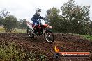 Champions Ride Days MotoX Broadford 24 11 2013 - 6CR_4451