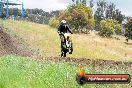 Champions Ride Days MotoX Broadford 24 11 2013 - 6CR_4480
