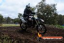 Champions Ride Days MotoX Broadford 24 11 2013 - 6CR_4492