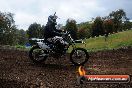 Champions Ride Days MotoX Broadford 24 11 2013 - 6CR_4494