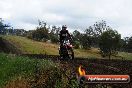 Champions Ride Days MotoX Broadford 24 11 2013 - 6CR_4518