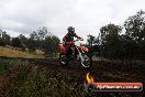 Champions Ride Days MotoX Broadford 24 11 2013 - 6CR_4526