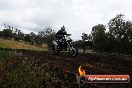 Champions Ride Days MotoX Broadford 24 11 2013 - 6CR_4533