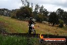 Champions Ride Days MotoX Broadford 24 11 2013 - 6CR_4538
