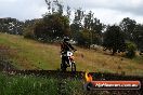 Champions Ride Days MotoX Broadford 24 11 2013 - 6CR_4538