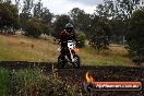 Champions Ride Days MotoX Broadford 24 11 2013 - 6CR_4539
