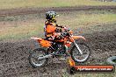 Champions Ride Days MotoX Broadford 24 11 2013 - 6CR_4577