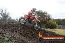 Champions Ride Days MotoX Broadford 24 11 2013 - 6CR_4583