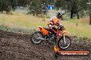 Champions Ride Days MotoX Broadford 24 11 2013 - 6CR_4585