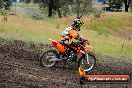 Champions Ride Days MotoX Broadford 24 11 2013 - 6CR_4586