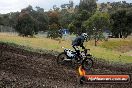 Champions Ride Days MotoX Broadford 24 11 2013 - 6CR_4595