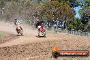 MRMC MotorX Ride Day Broadford 17 11 2013 - 5CR_7434