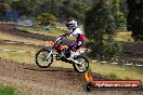 Champions Ride Days MotoX Broadford 01 12 2013 - 6CR_4612