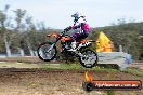 Champions Ride Days MotoX Broadford 01 12 2013 - 6CR_4614