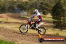 Champions Ride Days MotoX Broadford 01 12 2013 - 6CR_4628
