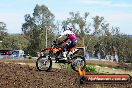 Champions Ride Days MotoX Broadford 01 12 2013 - 6CR_4648
