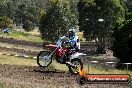 Champions Ride Days MotoX Broadford 01 12 2013 - 6CR_4708