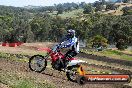 Champions Ride Days MotoX Broadford 01 12 2013 - 6CR_4709