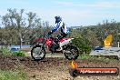 Champions Ride Days MotoX Broadford 01 12 2013 - 6CR_4711