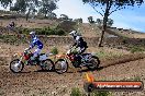 Champions Ride Days MotoX Broadford 01 12 2013 - 6CR_4758