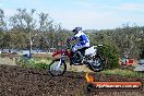 Champions Ride Days MotoX Broadford 01 12 2013 - 6CR_4768