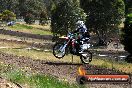Champions Ride Days MotoX Broadford 01 12 2013 - 6CR_4770