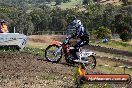 Champions Ride Days MotoX Broadford 01 12 2013 - 6CR_4771