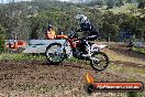 Champions Ride Days MotoX Broadford 01 12 2013 - 6CR_4772