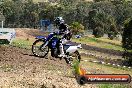 Champions Ride Days MotoX Broadford 01 12 2013 - 6CR_4786