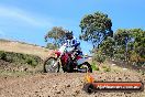 Champions Ride Days MotoX Broadford 01 12 2013 - 6CR_4793