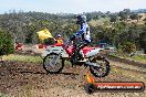 Champions Ride Days MotoX Broadford 01 12 2013 - 6CR_4801