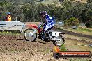 Champions Ride Days MotoX Broadford 01 12 2013 - 6CR_4852