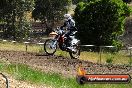Champions Ride Days MotoX Broadford 01 12 2013 - 6CR_4863