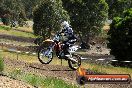 Champions Ride Days MotoX Broadford 01 12 2013 - 6CR_4864