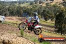 Champions Ride Days MotoX Broadford 01 12 2013 - 6CR_4908