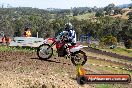 Champions Ride Days MotoX Broadford 01 12 2013 - 6CR_4909