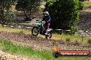 Champions Ride Days MotoX Broadford 01 12 2013 - 6CR_4950