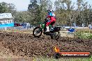 Champions Ride Days MotoX Broadford 01 12 2013 - 6CR_4998