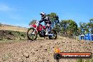 Champions Ride Days MotoX Broadford 01 12 2013 - 6CR_5011