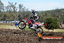 Champions Ride Days MotoX Broadford 01 12 2013 - 6CR_5020