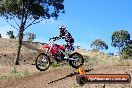 Champions Ride Days MotoX Broadford 01 12 2013 - 6CR_5056